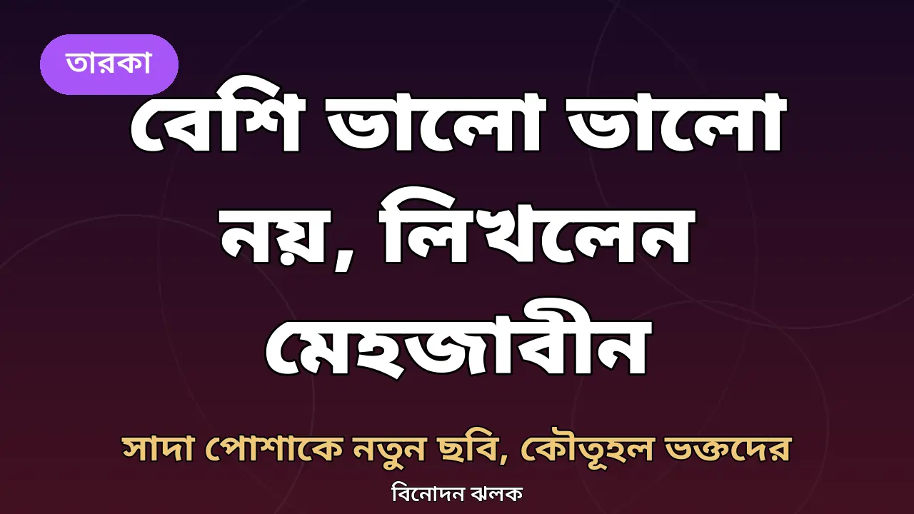 বেশি ভালো ভালো নয় লিখলেন মেহজাবীন, নতুন পোস্টের গ্রাফিক