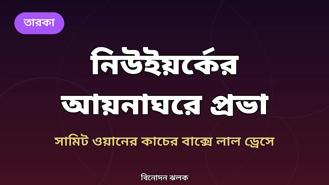 নিউইয়র্কের আয়নাঘরে প্রভা নিয়ে বানানো গ্রাফিক