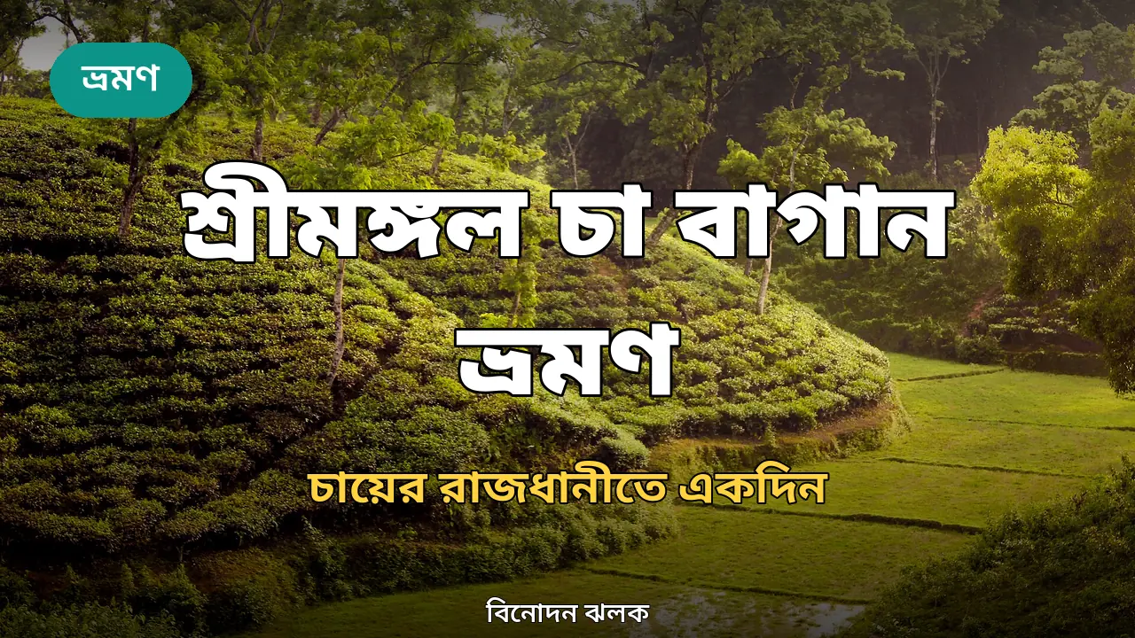 শ্রীমঙ্গল চা বাগান ভ্রমণ গাইড ২০২৬: চায়ের রাজধানীতে দুই দিন